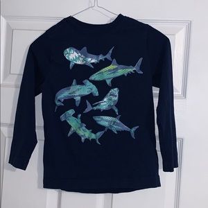 Boys Crazy 8 long sleeve shark t. Size S (5-6).